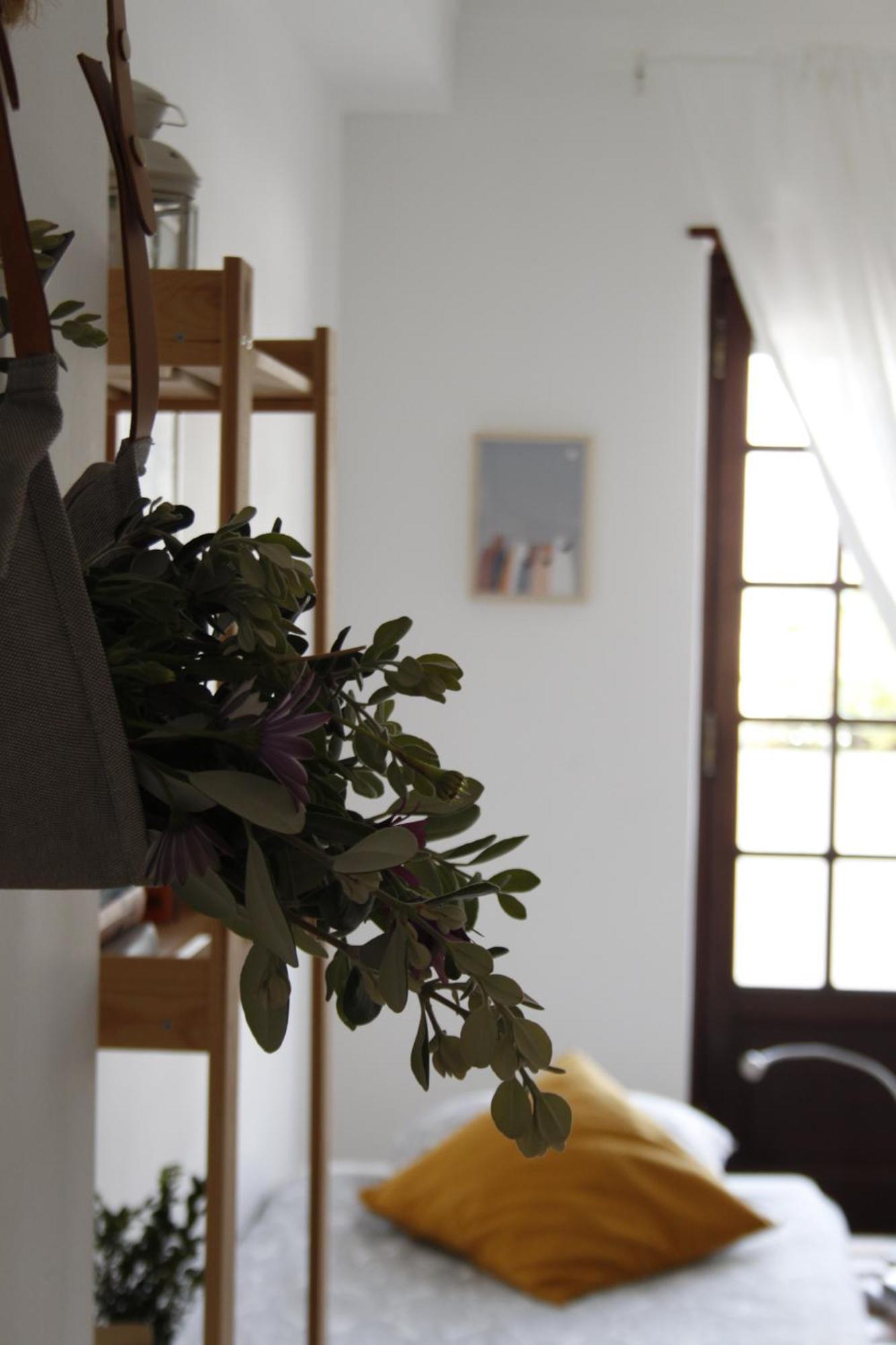 Boa Onda Guesthouse 아토우기아다발레이아 객실 사진